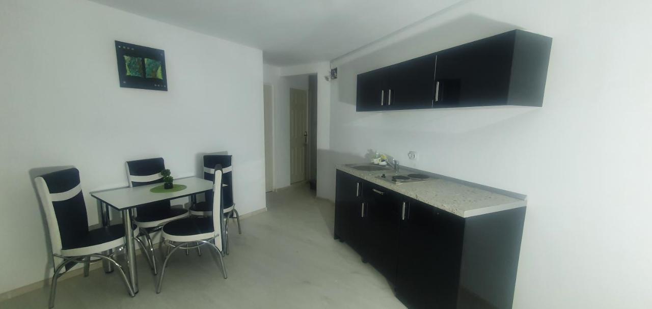 Pensiunea Liziera Buşteni Exterior foto