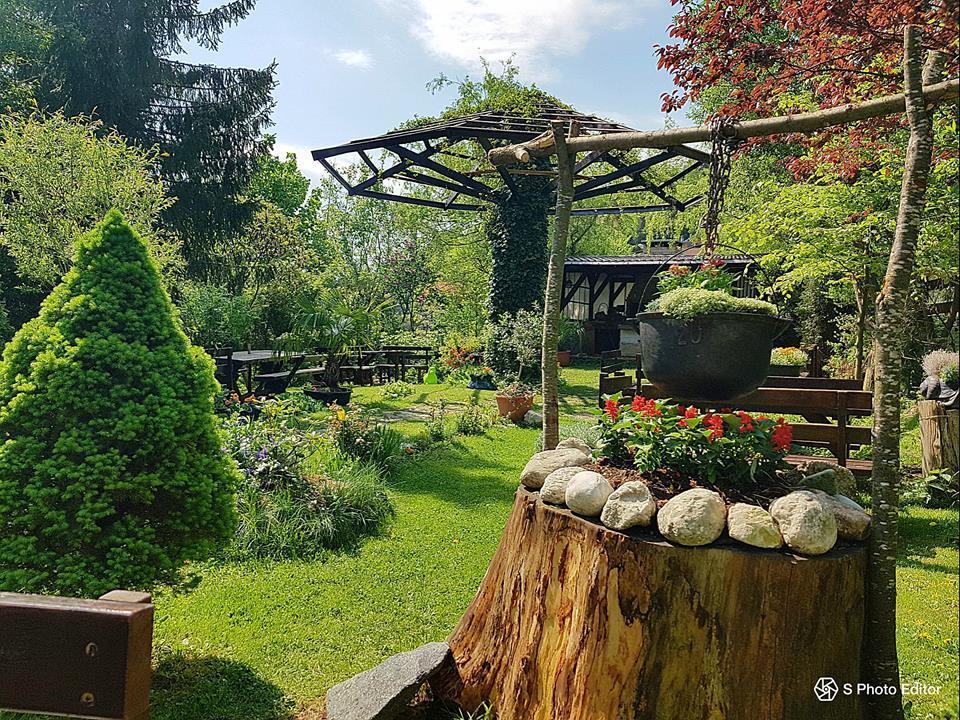 Pensiunea Liziera Buşteni Exterior foto